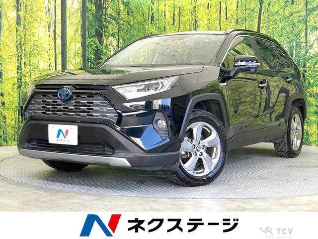 2019 Toyota RAV4