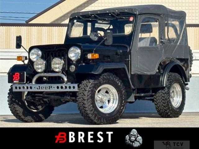 1996 Mitsubishi Jeep