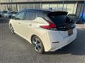 2020 Nissan Leaf