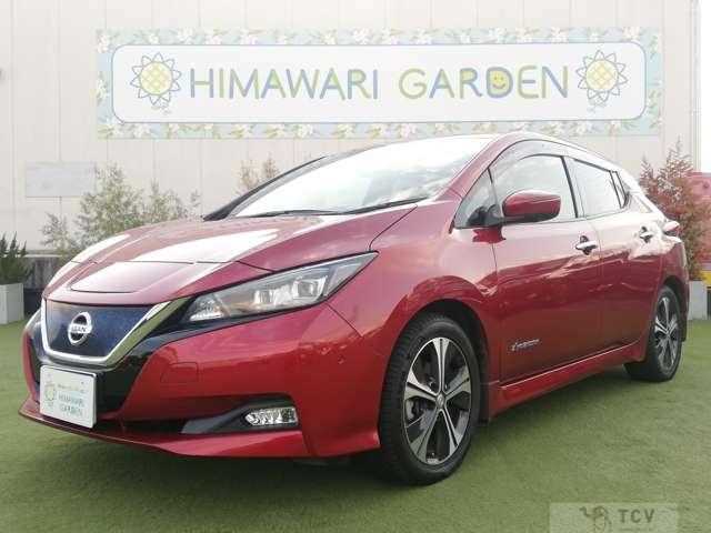 2018 Nissan Leaf