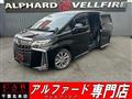 2021 Toyota Alphard G