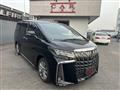 2021 Toyota Alphard G