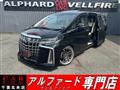 2020 Toyota Alphard G