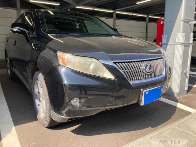 2009 Lexus RX
