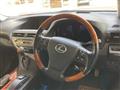2009 Lexus RX
