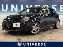 2019 Alfa Romeo Alfa Romeo Others