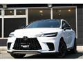 2025 Lexus RX
