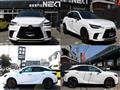 2025 Lexus RX