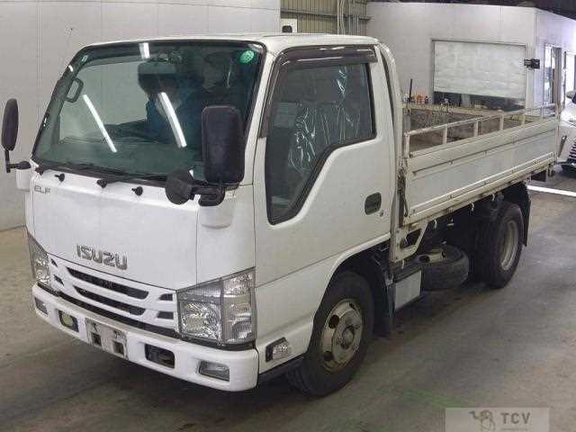 2017 Isuzu Elf Truck