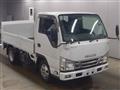 2019 Isuzu Elf Truck