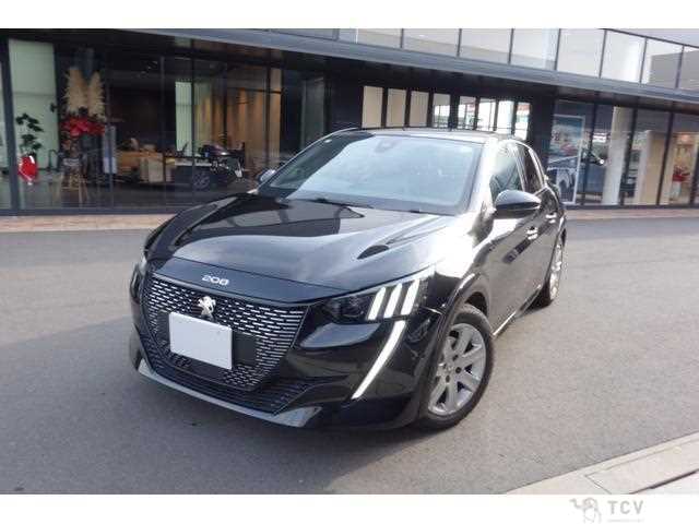 2021 Peugeot Peugoet Others