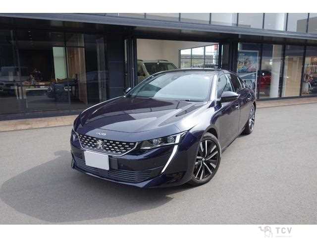 2020 Peugeot Peugoet Others