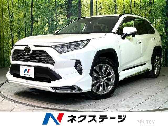 2019 Toyota RAV4