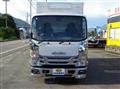 2019 Isuzu Elf Truck