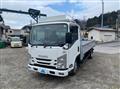 2020 Isuzu Elf Truck