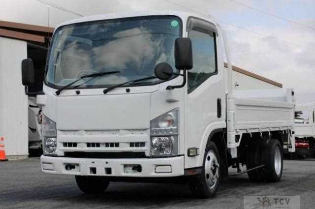 2007 Isuzu Elf Truck