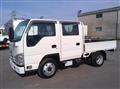 2019 Isuzu Elf Truck