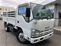 2010 Isuzu Elf Truck