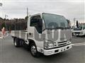 2020 Isuzu Elf Truck