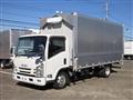 2019 Isuzu Elf Truck
