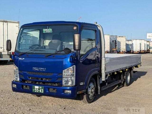 2019 Isuzu Elf Truck