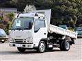 2021 Isuzu Elf Truck