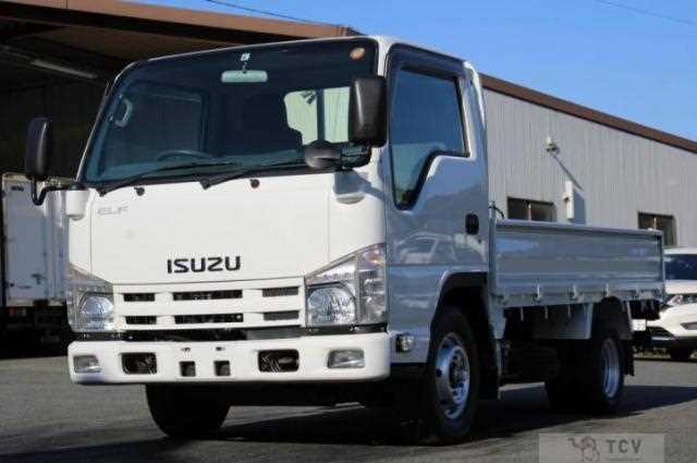 2010 Isuzu Elf Truck