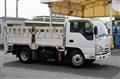 2019 Isuzu Elf Truck