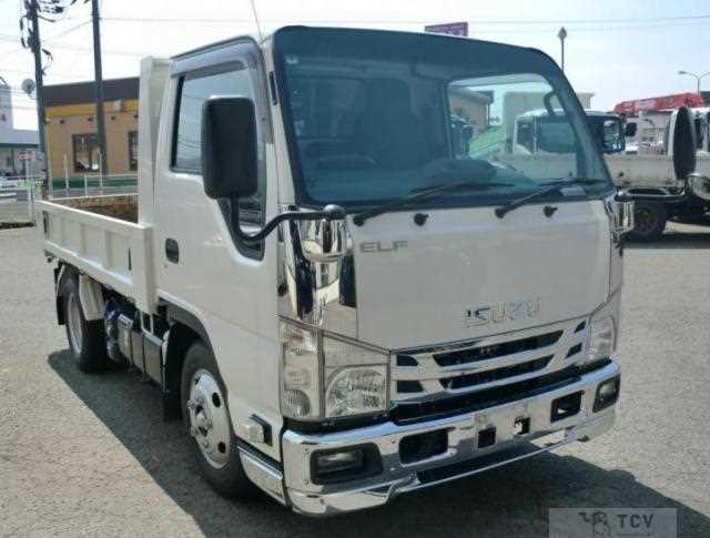 2020 Isuzu Elf Truck
