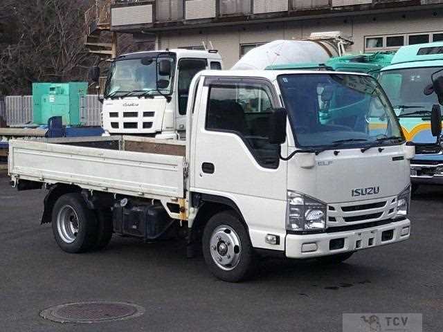 2019 Isuzu Elf Truck