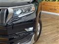 2019 Toyota Land Cruiser Prado