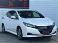 2021 Nissan Leaf