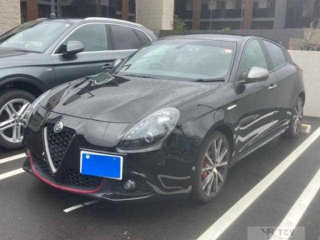2017 Alfa Romeo Alfa Romeo Others