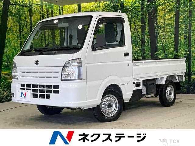2020 Suzuki Carry Truck