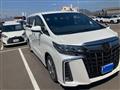 2021 Toyota Alphard G