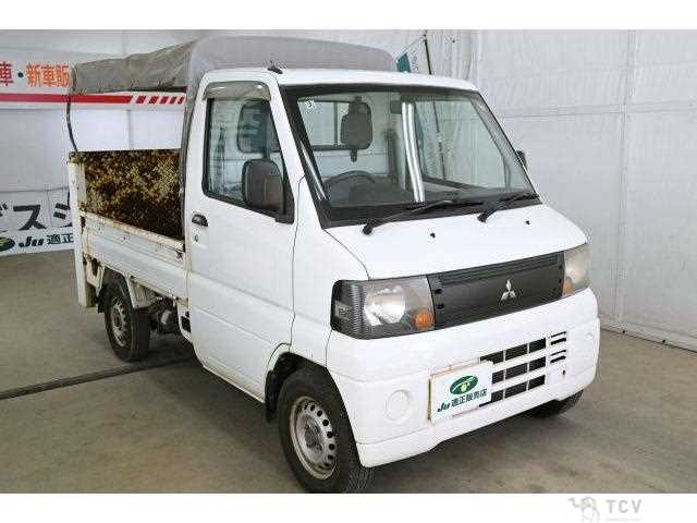 2009 Mitsubishi Minicab Truck