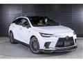 2025 Lexus RX