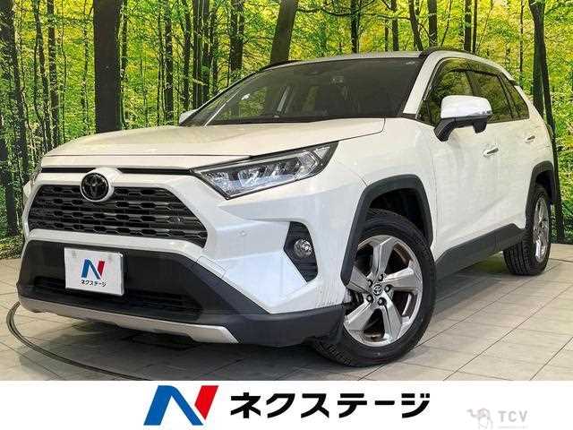 2019 Toyota RAV4