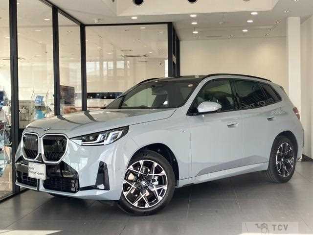 2025 BMW X3