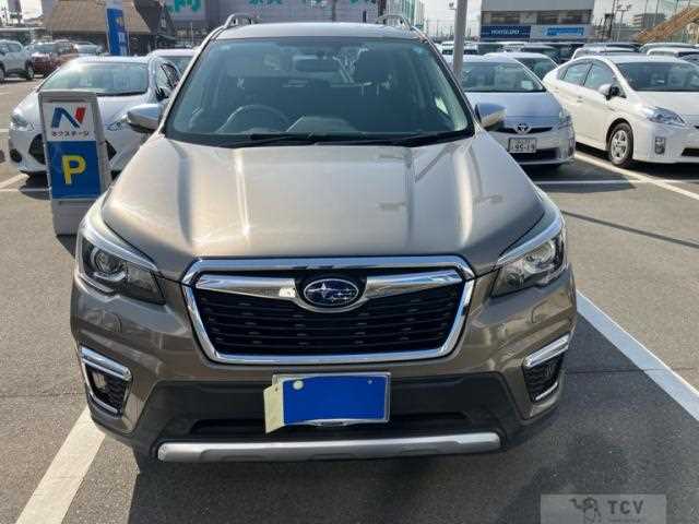 2019 Subaru Forester