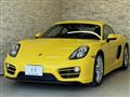 2013 Porsche Cayman
