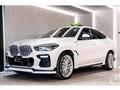 2020 BMW X6