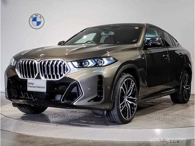 2025 BMW X6
