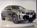 2025 BMW X6