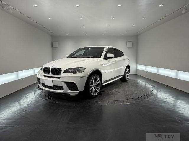 2011 BMW X6