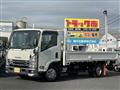 2021 Isuzu Elf Truck