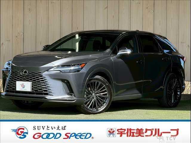 2024 Lexus RX