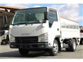 2009 Isuzu Elf Truck