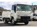 2009 Isuzu Elf Truck
