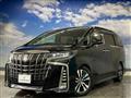 2019 Toyota Alphard G